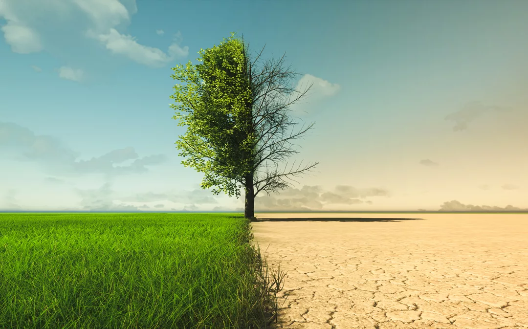 What does the world’s first year-long breach of the 1.5°C limit mean for the current climate stress test scenarios?